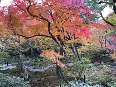 宝筐院(京都府)