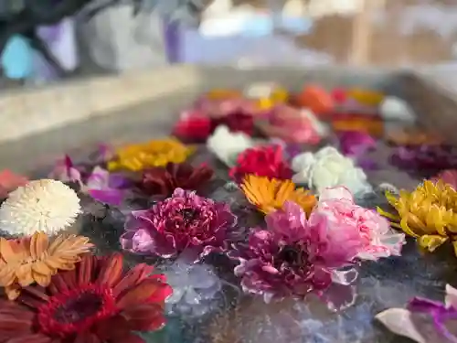 札幌諏訪神社の手水