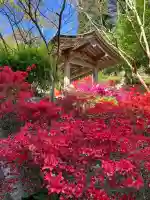 忉利天上寺(兵庫県)