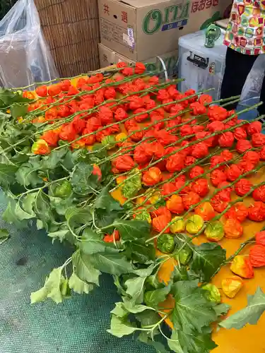 浅草寺(東京都)