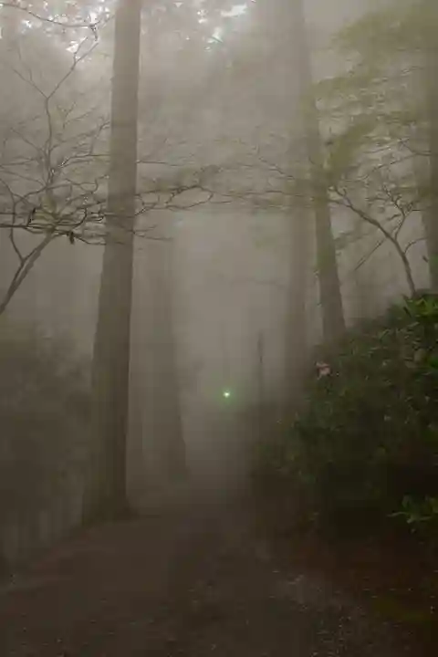 三峯神社(埼玉県)