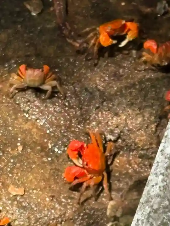 薬王寺(徳島県)