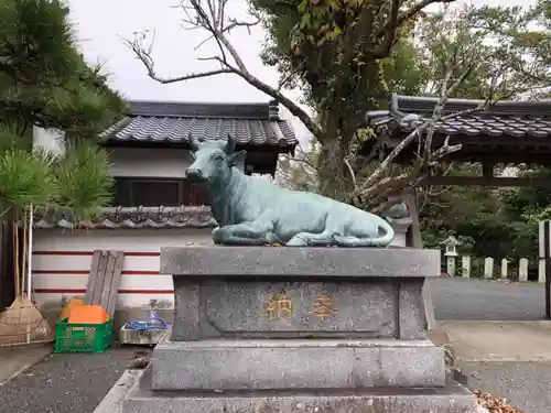 八幡古表神社の狛犬