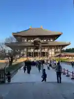 東大寺の{uncategorized: "未分類", other: "その他", undefined: "問題あり", building: "その他建物", grave: "お墓", sacred_gate: "鳥居", guardian: "狛犬", statue: "像", buddha: "仏像", history: "歴史", nature: "自然", garden: "庭園", animal: "動物", pagoda: "塔", temizu: "手水舎", mountain_gate: "山門・神門", sanctuary: "本殿・本堂", subordinate: "末社・摂社", art: "芸術", scenery: "景色", jizo: "地蔵", ema: "絵馬", goshuin: "御朱印", omikuji: "おみくじ", items: "授与品その他", amulet: "お守り", goshuincho: "御朱印帳", eats: "食事", festival: "お祭り", votive_dance: "神楽", shichigosan: "七五三参", wedding: "結婚式", experience: "体験その他", initially: "初詣", around: "周辺", anti_infection: "感染症対策"}