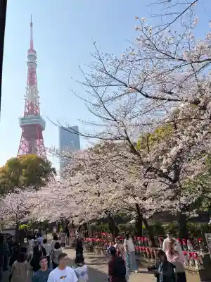 増上寺の{uncategorized: "未分類", other: "その他", undefined: "問題あり", building: "その他建物", grave: "お墓", sacred_gate: "鳥居", guardian: "狛犬", statue: "像", buddha: "仏像", history: "歴史", nature: "自然", garden: "庭園", animal: "動物", pagoda: "塔", temizu: "手水舎", mountain_gate: "山門・神門", sanctuary: "本殿・本堂", subordinate: "末社・摂社", art: "芸術", scenery: "景色", jizo: "地蔵", ema: "絵馬", goshuin: "御朱印", omikuji: "おみくじ", items: "授与品その他", amulet: "お守り", goshuincho: "御朱印帳", eats: "食事", festival: "お祭り", votive_dance: "神楽", shichigosan: "七五三参", wedding: "結婚式", experience: "体験その他", initially: "初詣", around: "周辺", anti_infection: "感染症対策"}