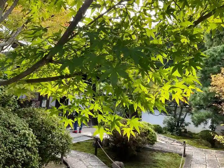 芬陀院(京都府)