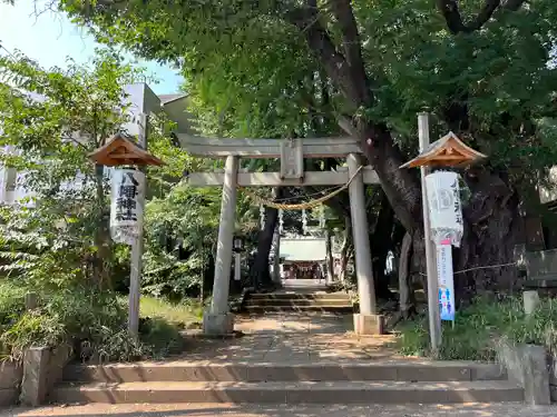 下高井戸八幡神社（下高井戸浜田山八幡神社）の鳥居