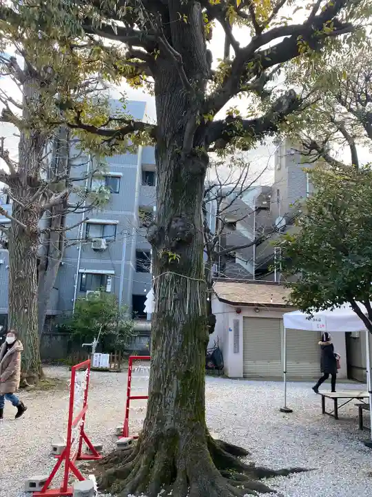 蛇窪神社(東京都)