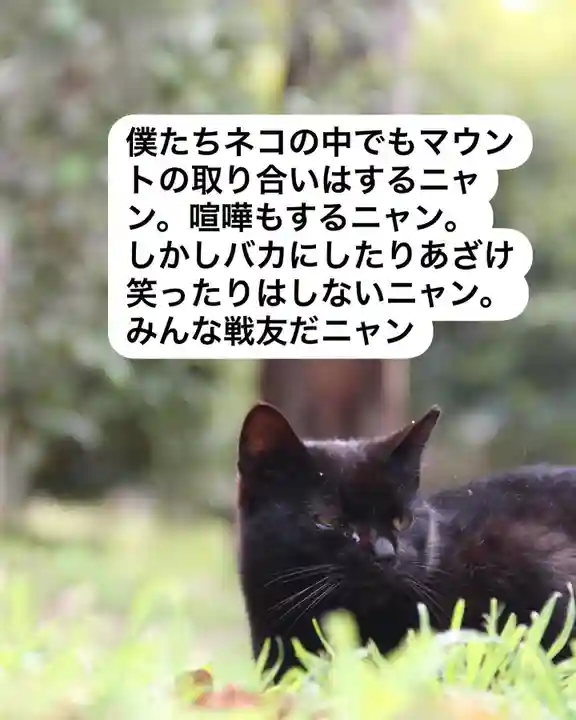 専念寺(大阪府)