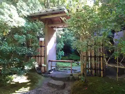 光明寺瑠璃光院(京都府)