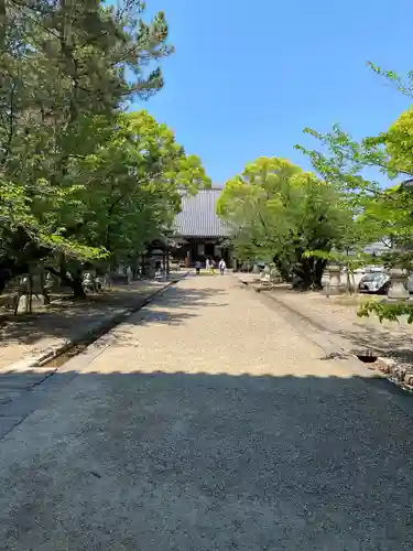 大樹寺（松安院大樹寺）(愛知県)