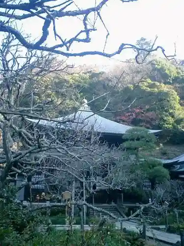 瑞泉寺の本殿・本堂