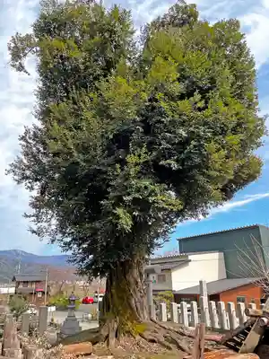 伊香具神社の自然