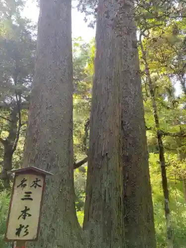 笠森寺の山門・神門