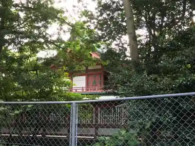 藤崎八旛宮の本殿・本堂