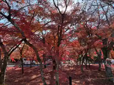 天龍寺(京都府)
