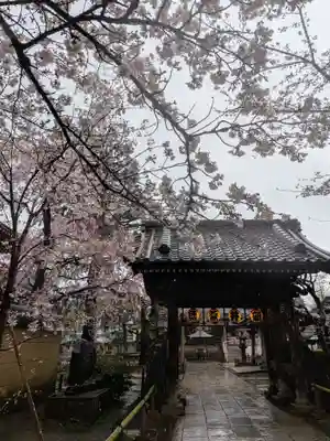 新井薬師(梅照院)(東京都)