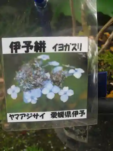 光則寺のその他建物