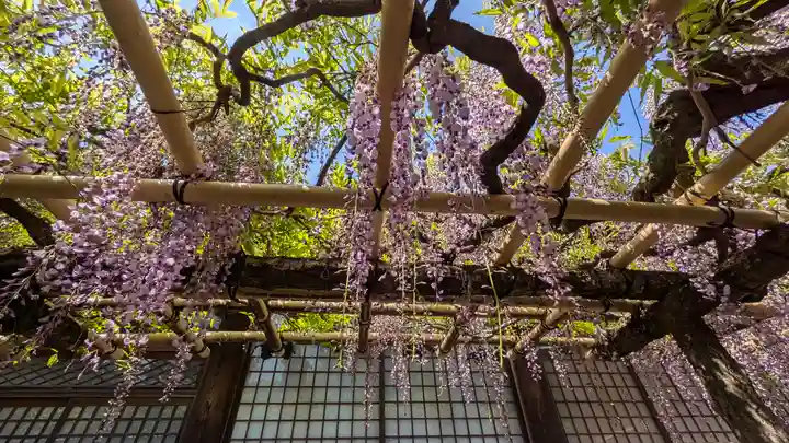 春日大社(奈良県)
