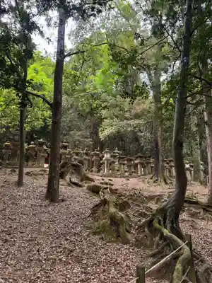 春日大社(奈良県)