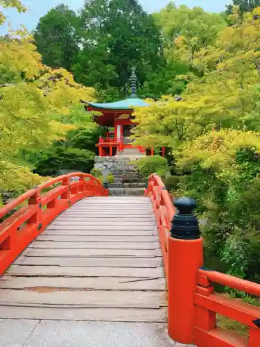 醍醐寺(京都府)