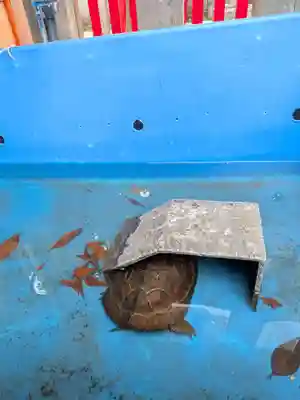 下谷神社(東京都)