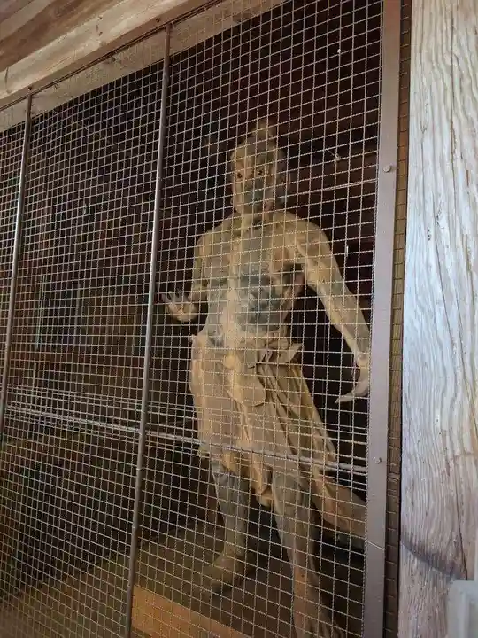 東大寺別院阿弥陀寺(山口県)