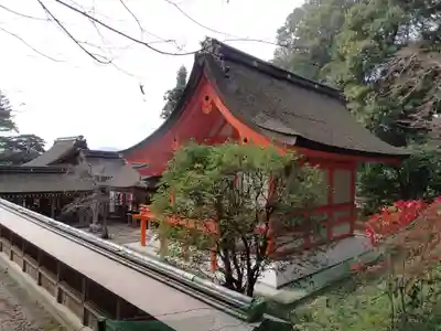 出雲大神宮の本殿・本堂