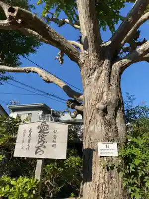 密蔵寺のその他建物
