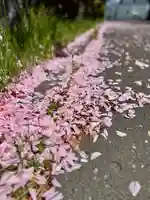 伊達神社(北海道)