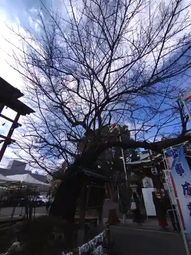 居木神社の自然