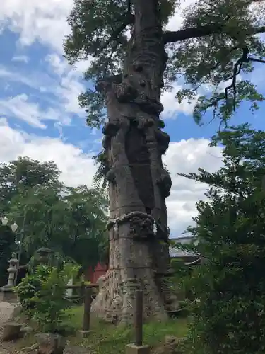 廣瀬神社の自然