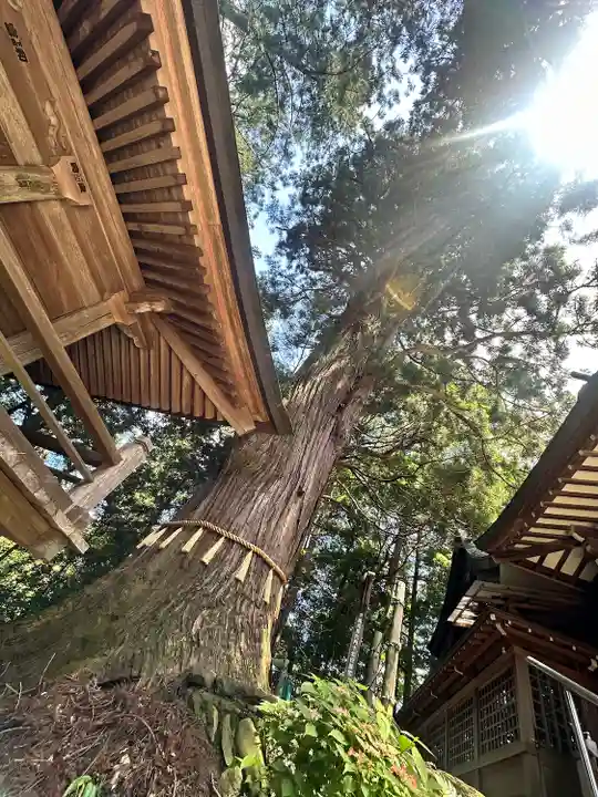 鷲子山上神社(栃木県)
