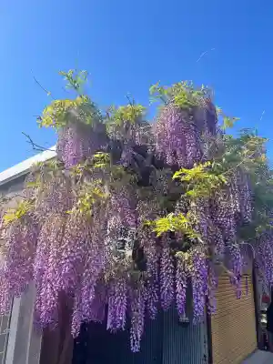 真如寺(大阪府)
