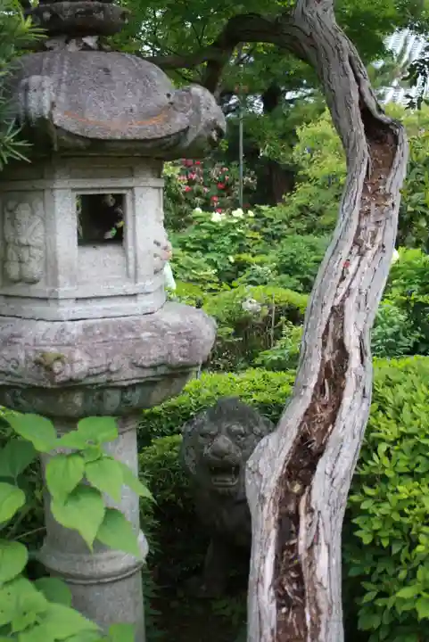 石光寺(奈良県)