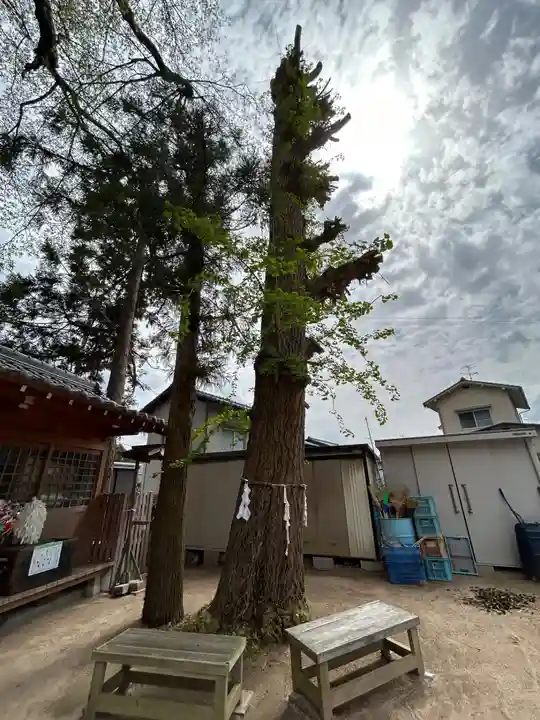 大歳神社(広島県)