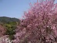 久延彦神社(奈良県)
