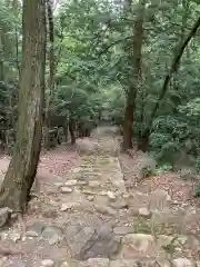 伊波乃西神社の自然