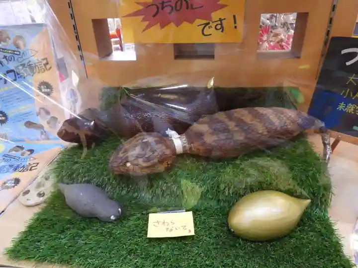 つちのこ神社(親田槌の子神社)(岐阜県)