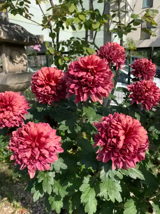 水堂須佐男神社の自然