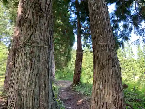 三石神社の自然