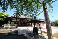 新井薬師（梅照院）(東京都)