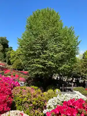 根津神社(東京都)