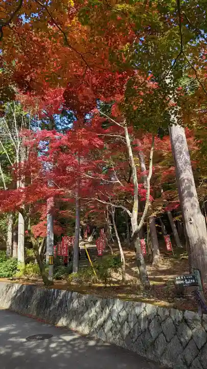 毘沙門堂門跡(京都府)