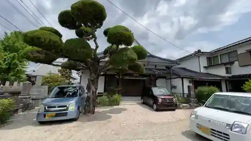 長専寺の建物その他