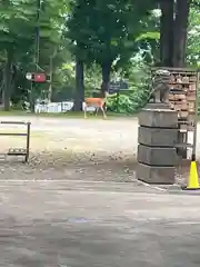 石山神社の動物