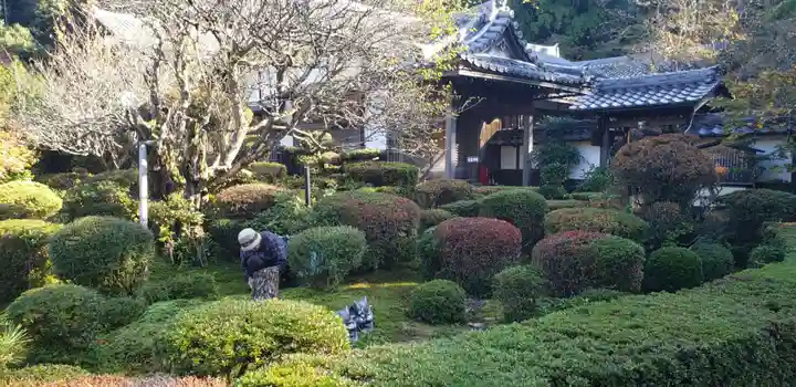 西明寺の庭園