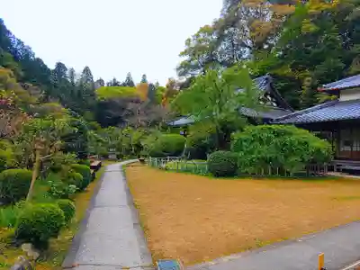 大野寺の庭園