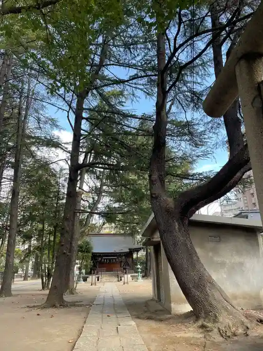 川口神社(埼玉県)