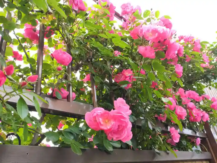 寿量山 速成寺の庭園